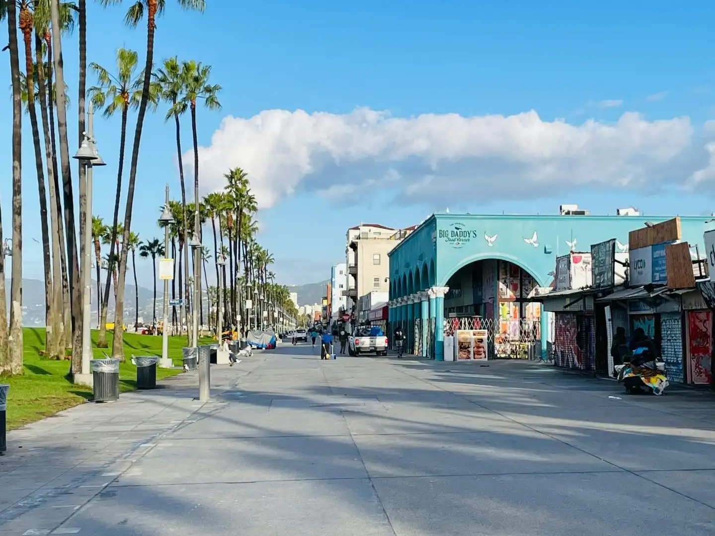 Storefront signage along a Venice business corridor